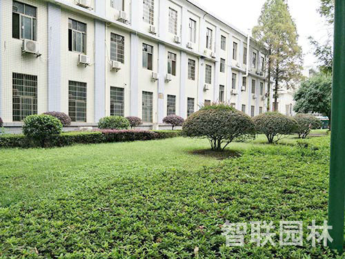 湖南理工大學綠化1